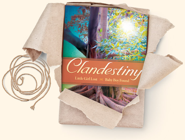 Clandestiny Book
